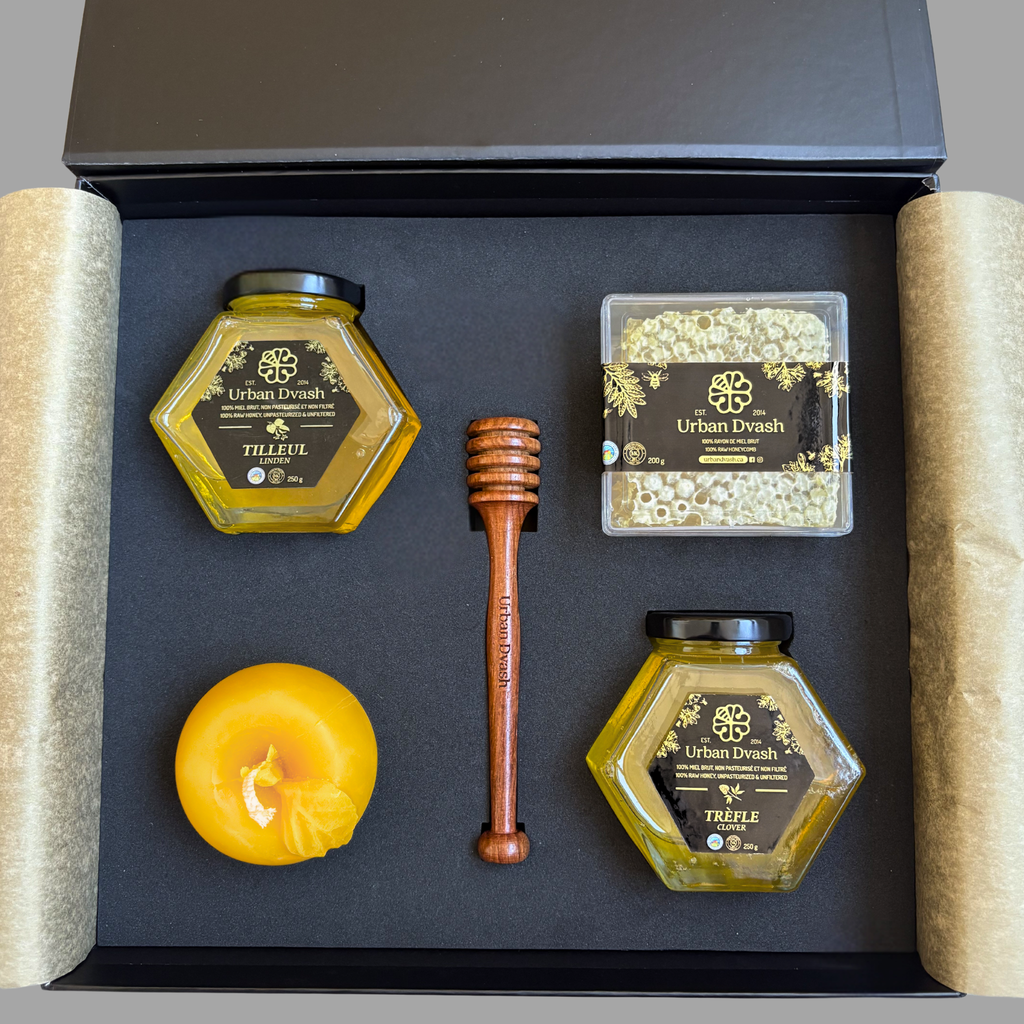 The Signature Edition